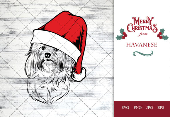 Crafting Christmas Content with a Festive Havanese Graphic